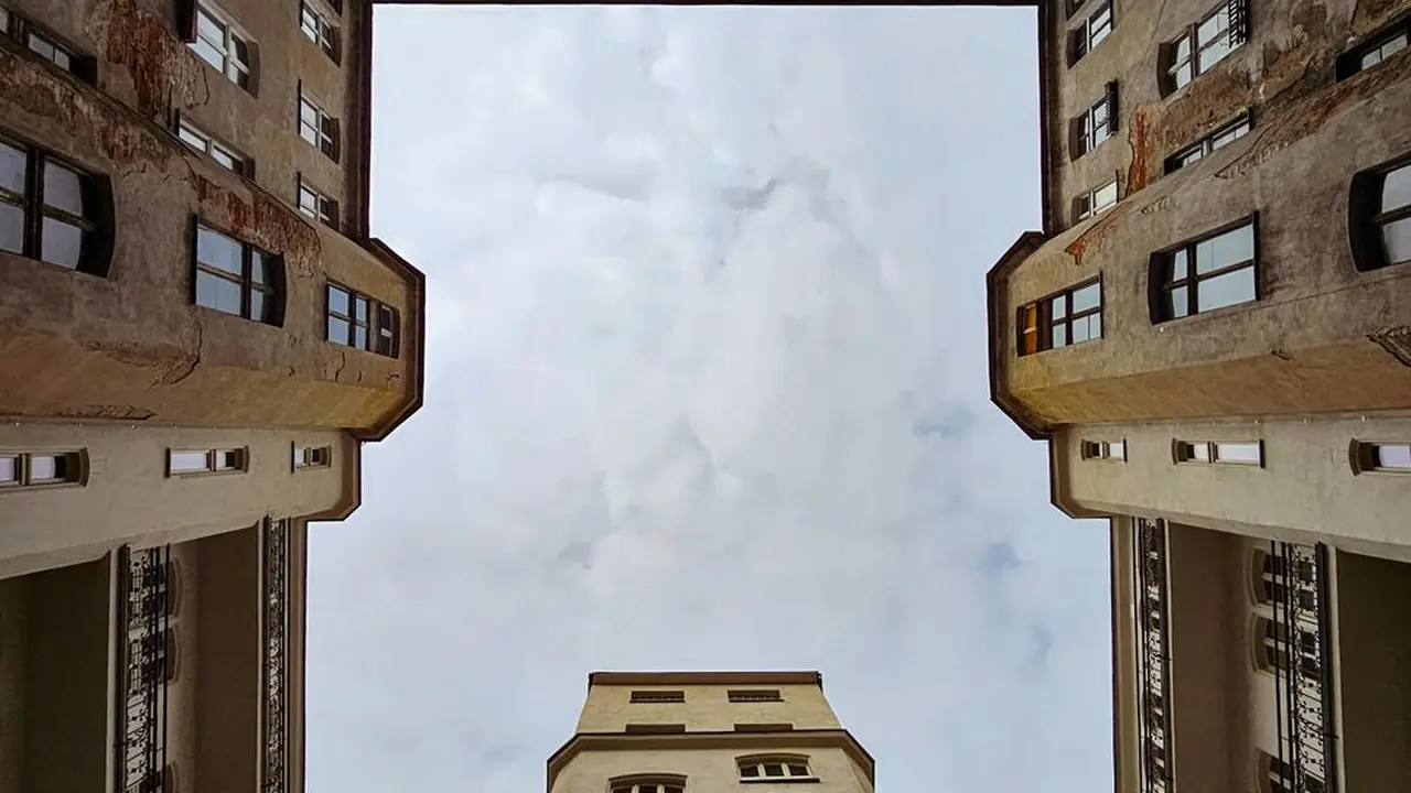 陈金孝头像