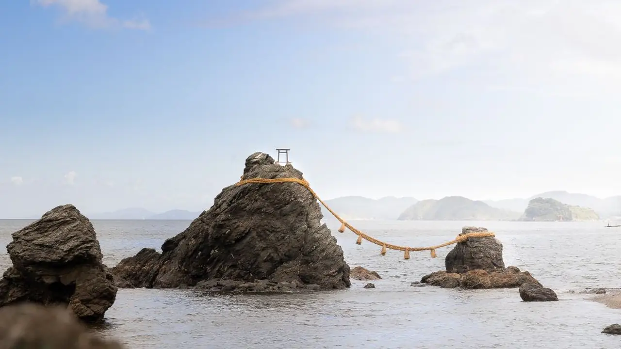 污软件草莓app下载免费安装指南与设备兼容说明