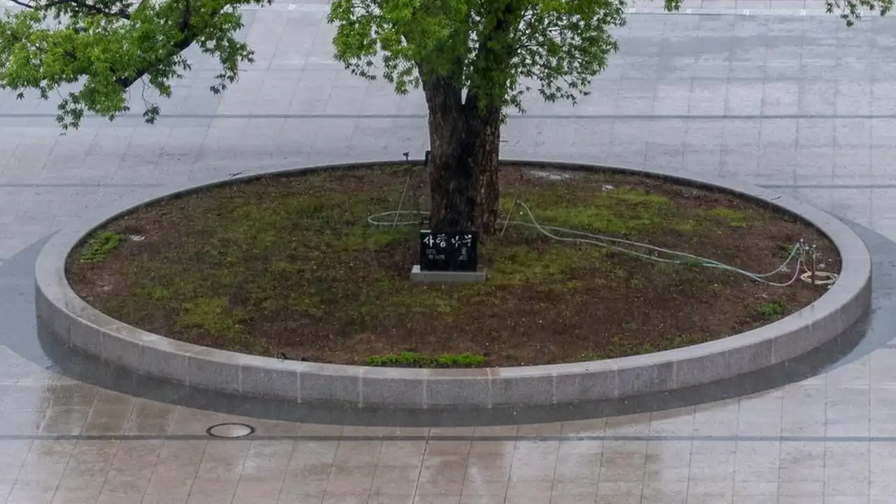 王紫贵头像