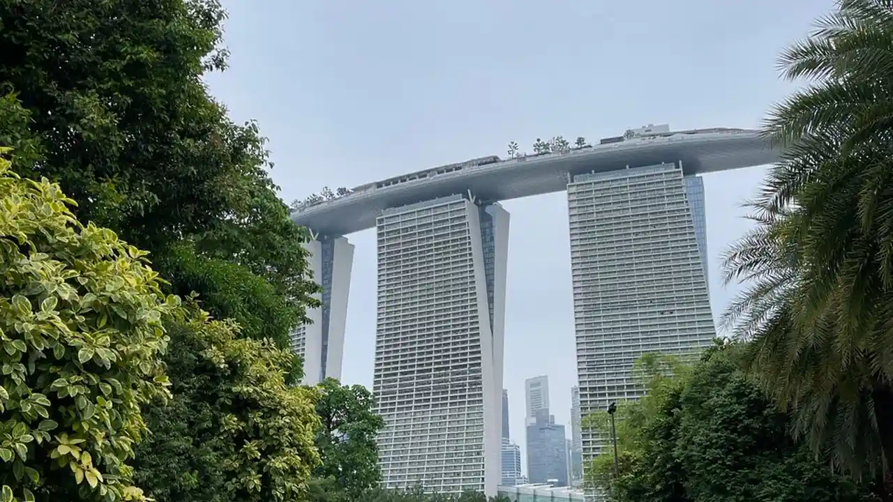 谢国荣头像