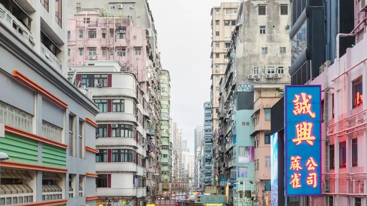 萧怡慧头像
